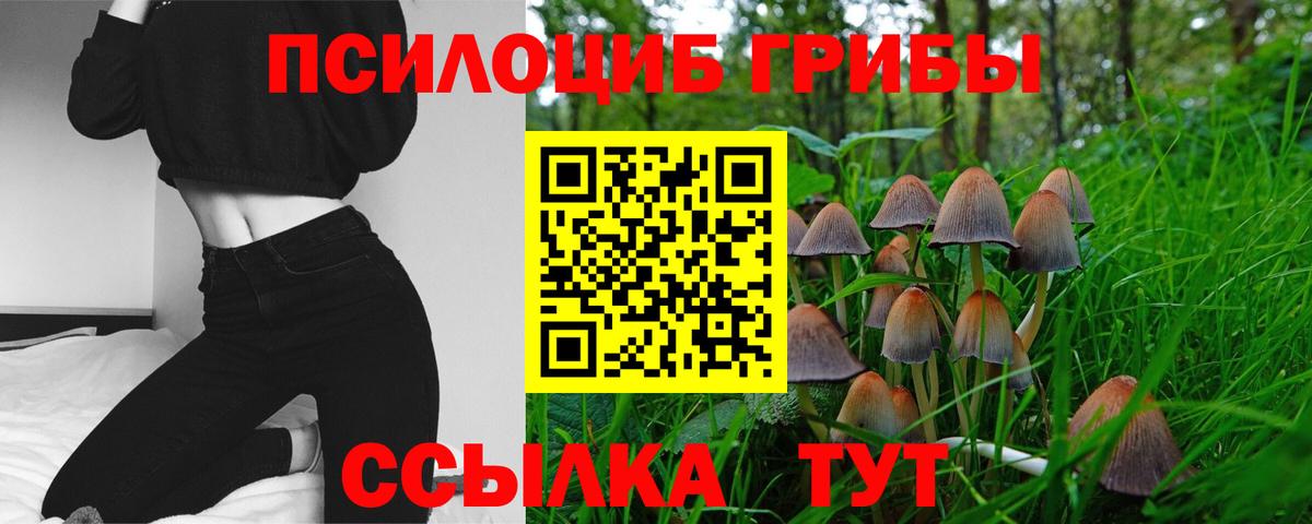 Псилоцибиновые грибы Psilocybine cubensis Юрга